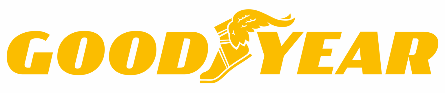Goodyear